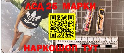 кокс Можга